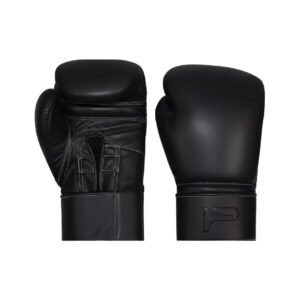 Japanese boxing gloves